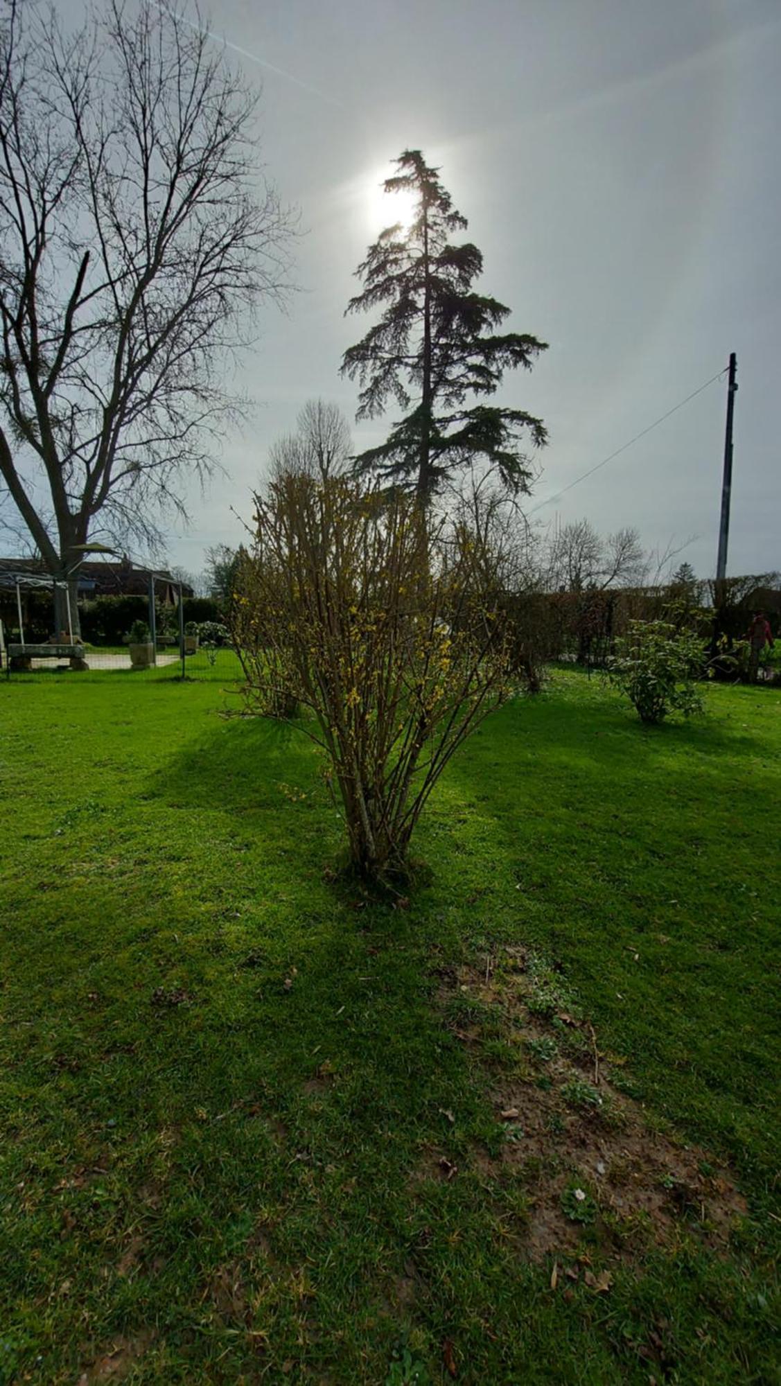 Villa Maella Saint-Michel-Tuboeuf 외부 사진